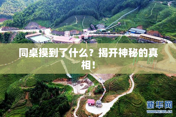 同桌摸到了什么？揭开神秘的真相！