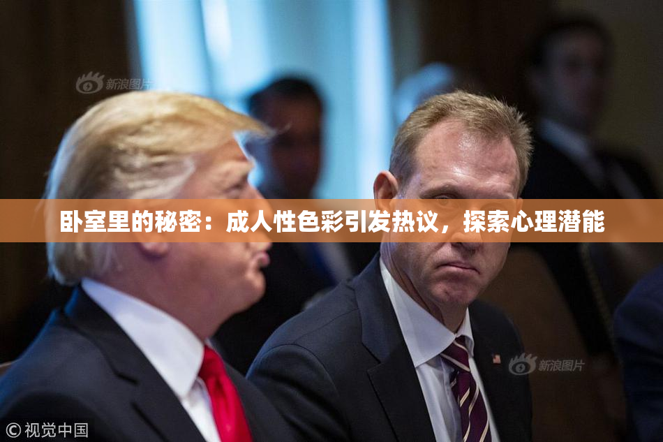 卧室里的秘密：成人性色彩引发热议，探索心理潜能
