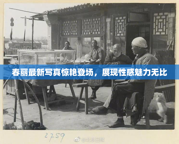 春丽最新写真惊艳登场，展现性感魅力无比