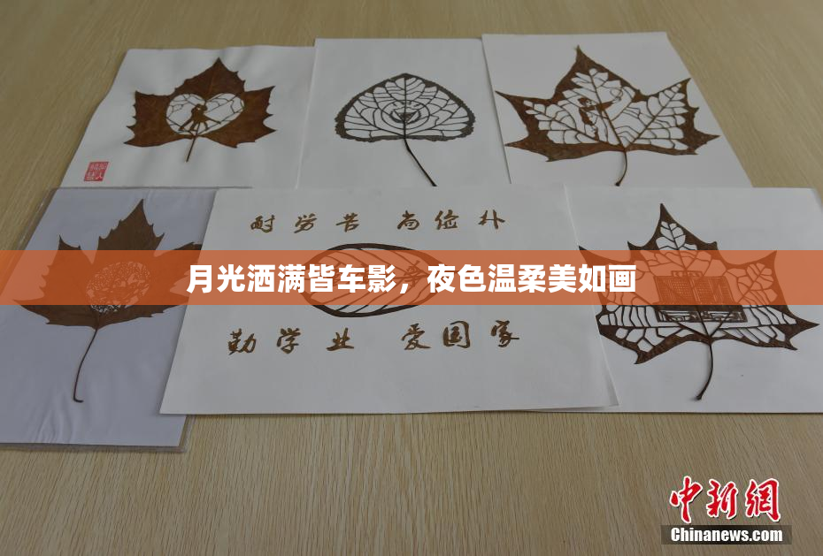月光洒满皆车影，夜色温柔美如画