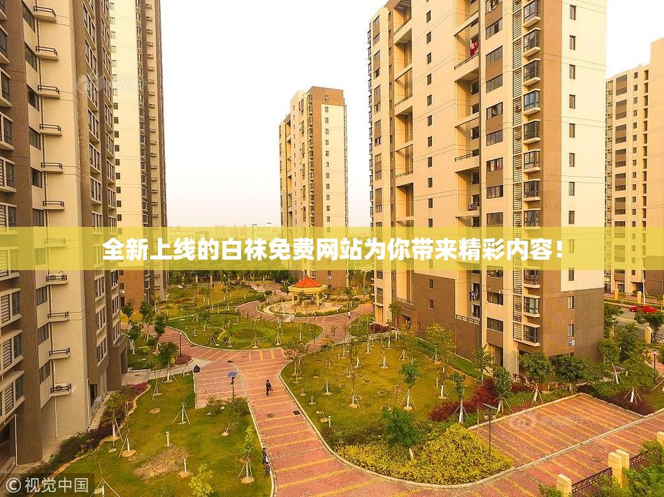 全新上线的白袜免费网站为你带来精彩内容！