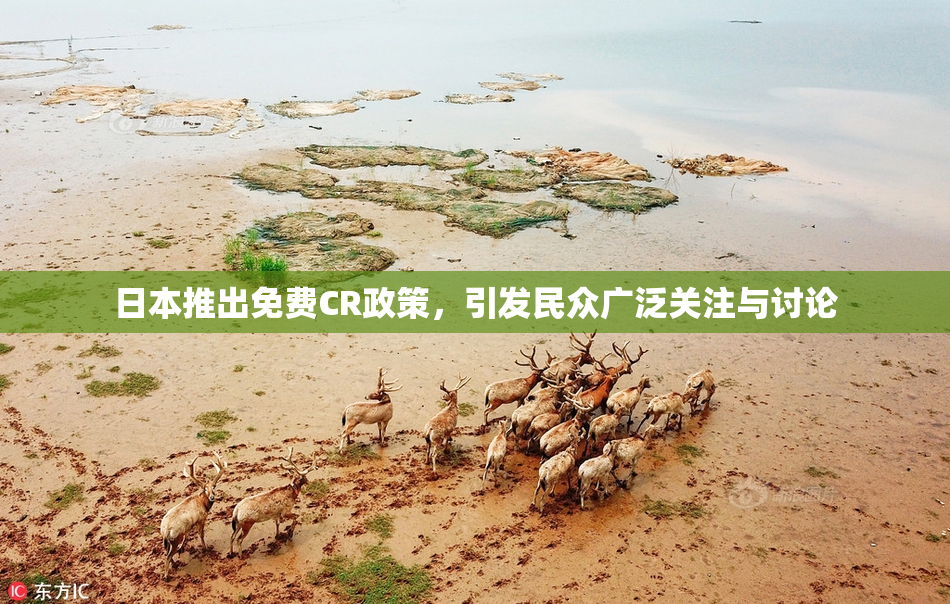 日本推出免费CR政策，引发民众广泛关注与讨论