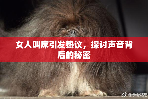 女人叫床引发热议，探讨声音背后的秘密