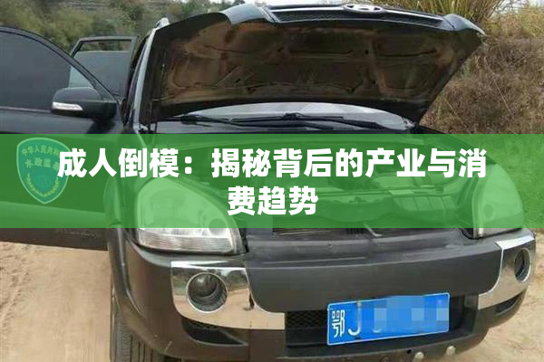 成人倒模：揭秘背后的产业与消费趋势