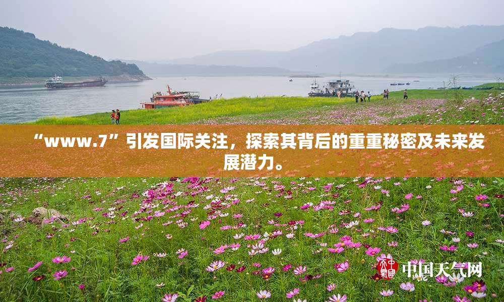 “www.7”引发国际关注，探索其背后的重重秘密及未来发展潜力。