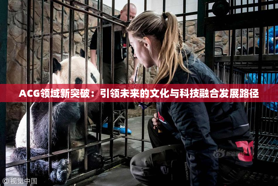 ACG领域新突破：引领未来的文化与科技融合发展路径