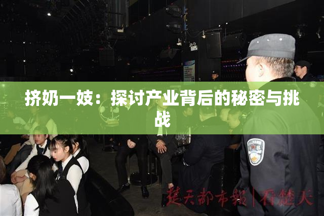 挤奶一妓：探讨产业背后的秘密与挑战