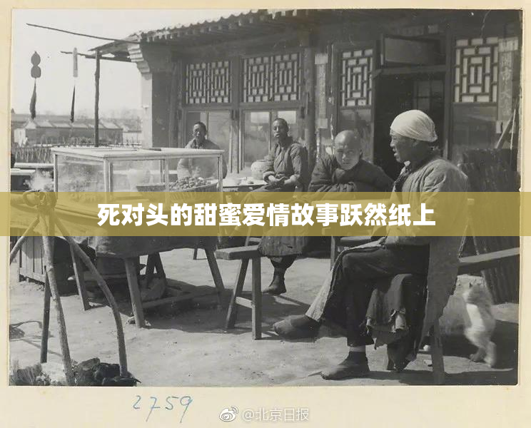 死对头的甜蜜爱情故事跃然纸上