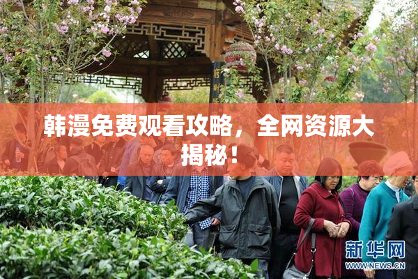 韩漫免费观看攻略，全网资源大揭秘！