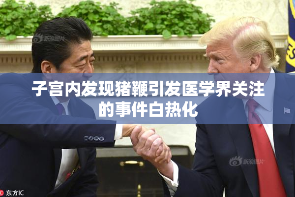 子宫内发现猪鞭引发医学界关注的事件白热化