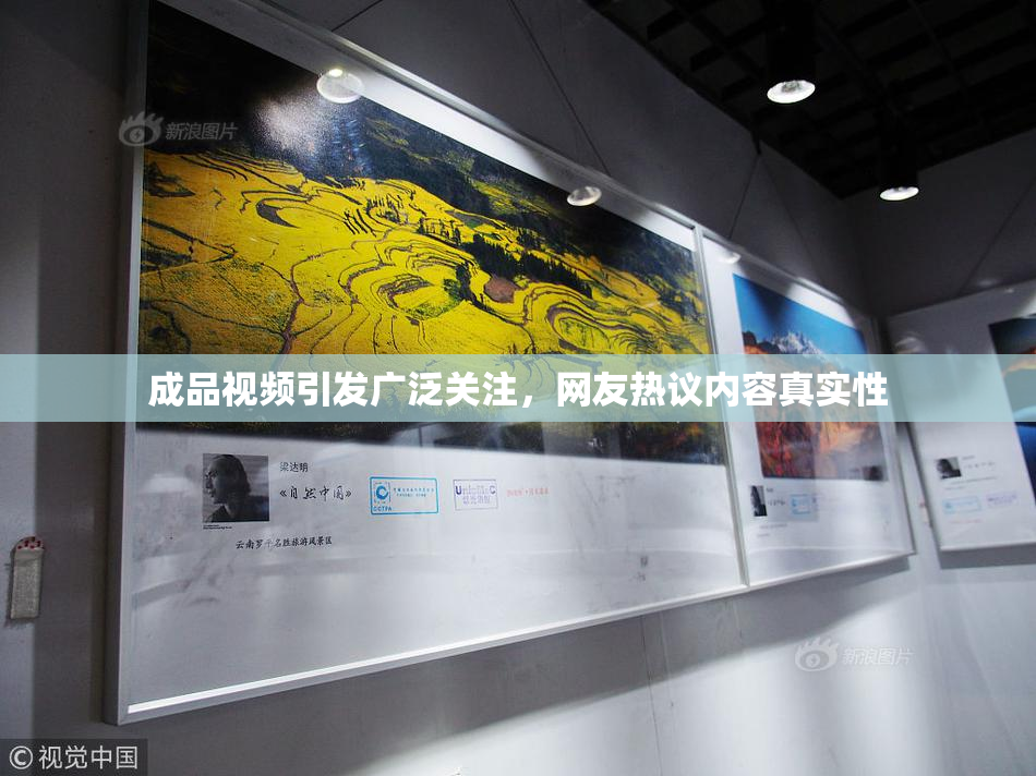 成品视频引发广泛关注，网友热议内容真实性