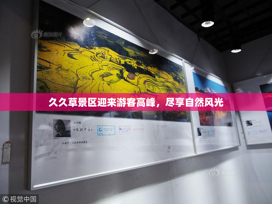 久久草景区迎来游客高峰，尽享自然风光