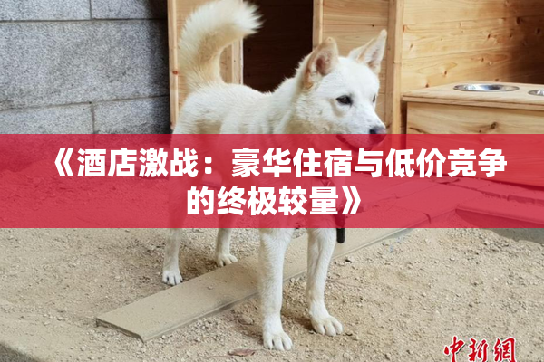 《酒店激战：豪华住宿与低价竞争的终极较量》
