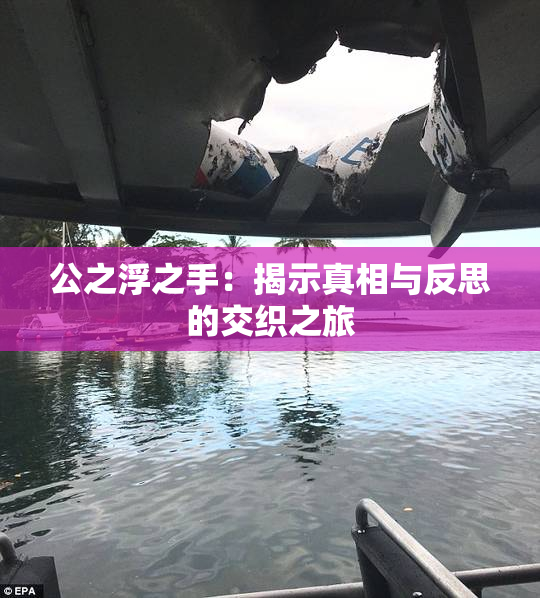 公之浮之手：揭示真相与反思的交织之旅