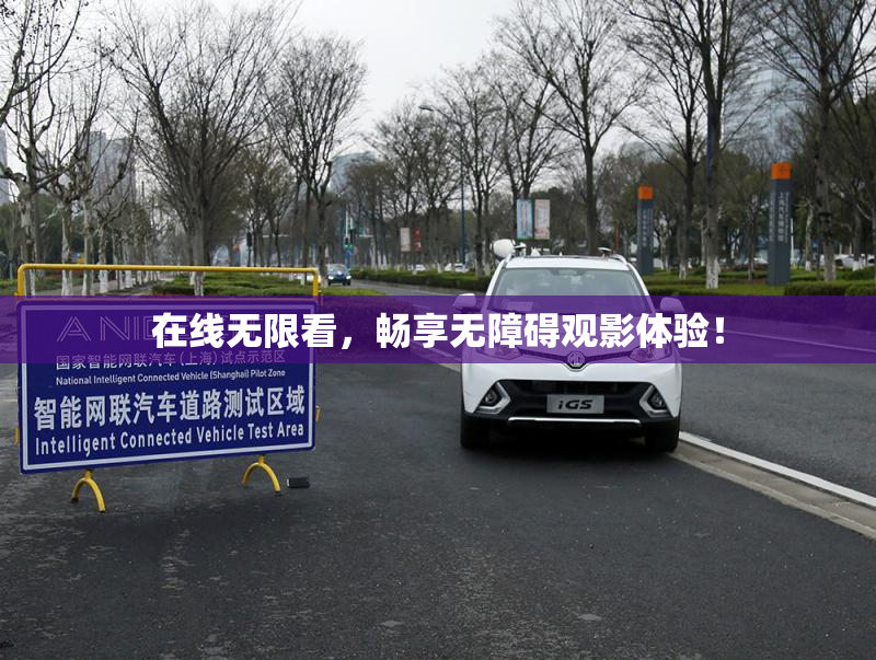 在线无限看，畅享无障碍观影体验！