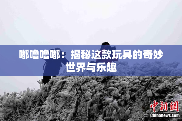 嘟噜噜嘟：揭秘这款玩具的奇妙世界与乐趣