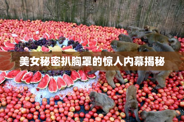 美女秘密扒胸罩的惊人内幕揭秘
