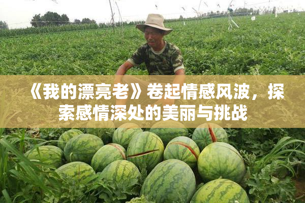 《我的漂亮老》卷起情感风波，探索感情深处的美丽与挑战