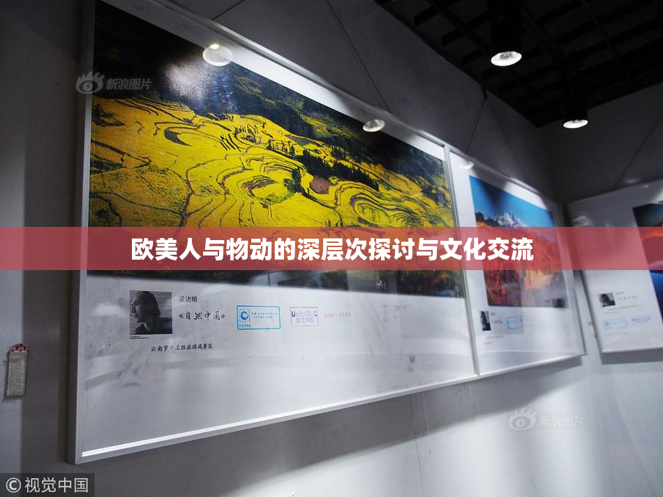 欧美人与物动的深层次探讨与文化交流