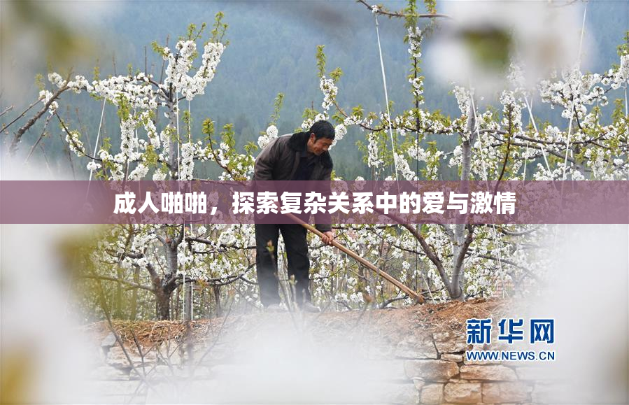 成人啪啪，探索复杂关系中的爱与激情