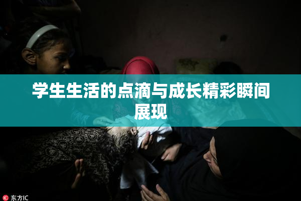 学生生活的点滴与成长精彩瞬间展现