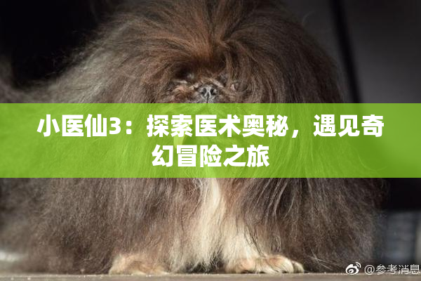 小医仙3：探索医术奥秘，遇见奇幻冒险之旅