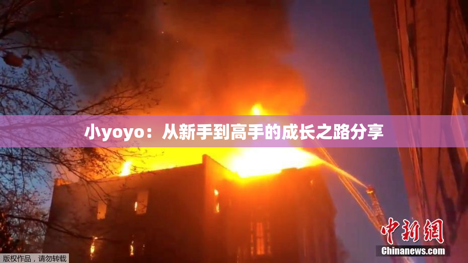 小yoyo：从新手到高手的成长之路分享