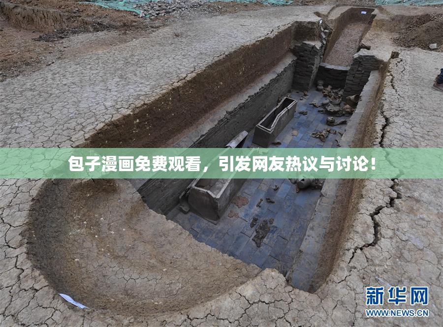 包子漫画免费观看，引发网友热议与讨论！