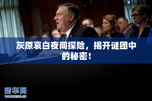 灰原哀白夜间探险，揭开谜团中的秘密！