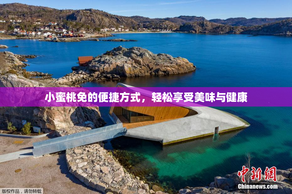 小蜜桃免的便捷方式，轻松享受美味与健康