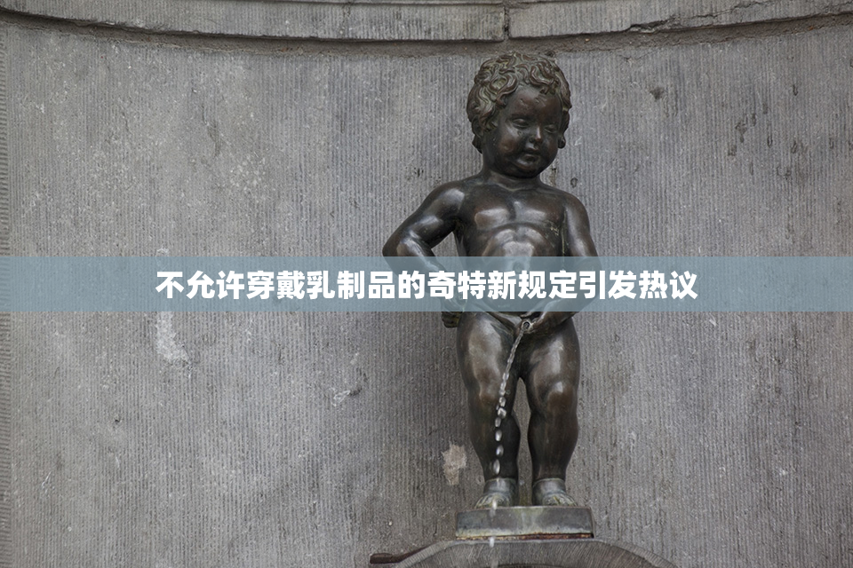 不允许穿戴乳制品的奇特新规定引发热议