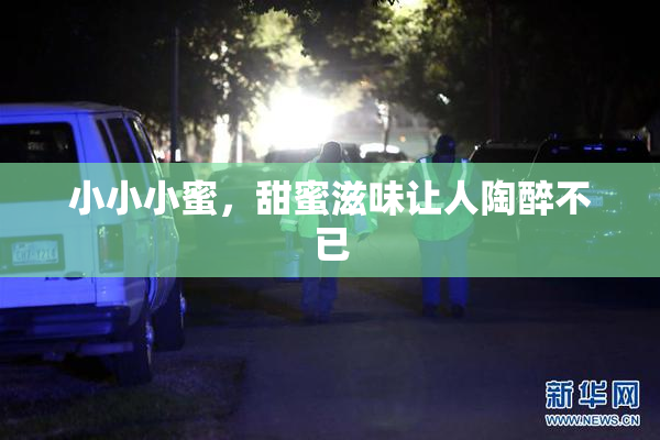 小小小蜜，甜蜜滋味让人陶醉不已