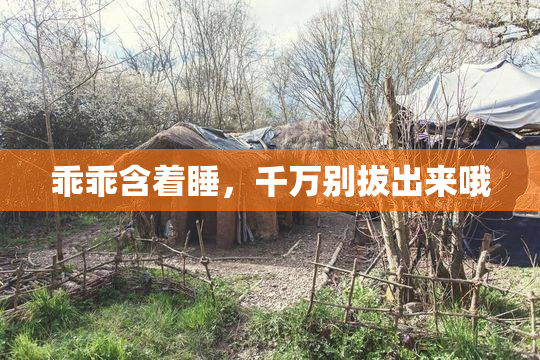 乖乖含着睡，千万别拔出来哦