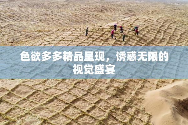 色欲多多精品呈现，诱惑无限的视觉盛宴