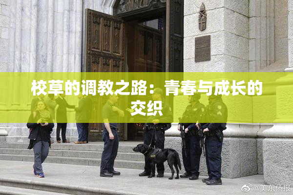 校草的调教之路：青春与成长的交织