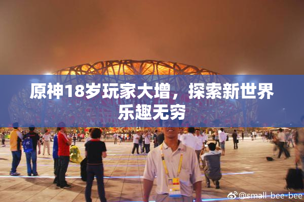 原神18岁玩家大增，探索新世界乐趣无穷