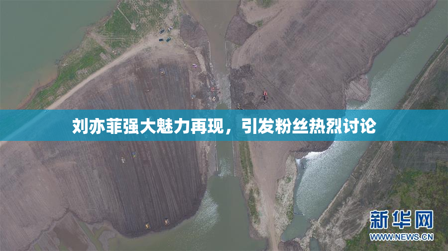 刘亦菲强大魅力再现，引发粉丝热烈讨论