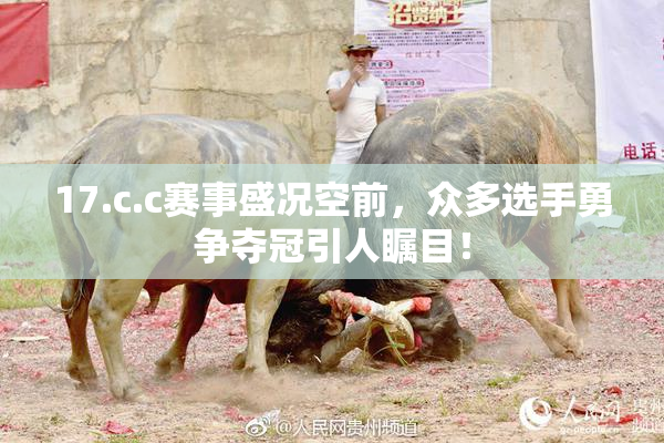 17.c.c赛事盛况空前，众多选手勇争夺冠引人瞩目！