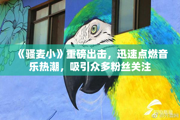 《骚麦小》重磅出击，迅速点燃音乐热潮，吸引众多粉丝关注