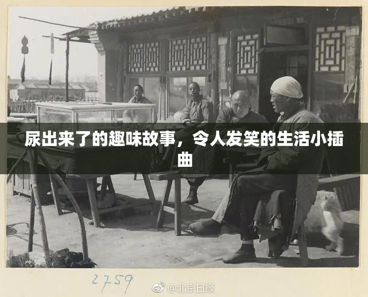 尿出来了的趣味故事，令人发笑的生活小插曲