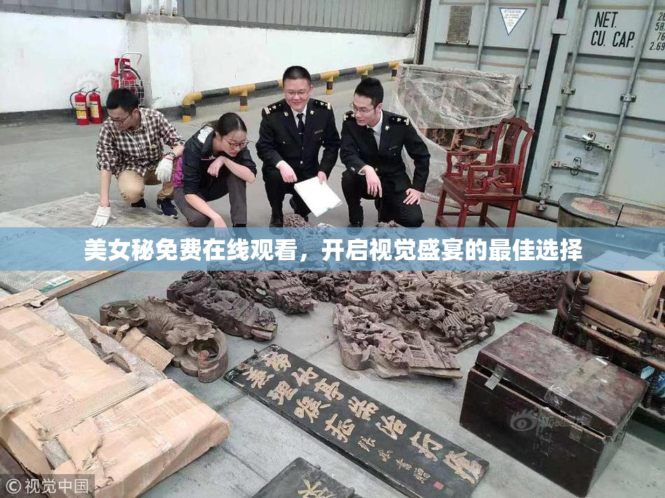 美女秘免费在线观看，开启视觉盛宴的最佳选择