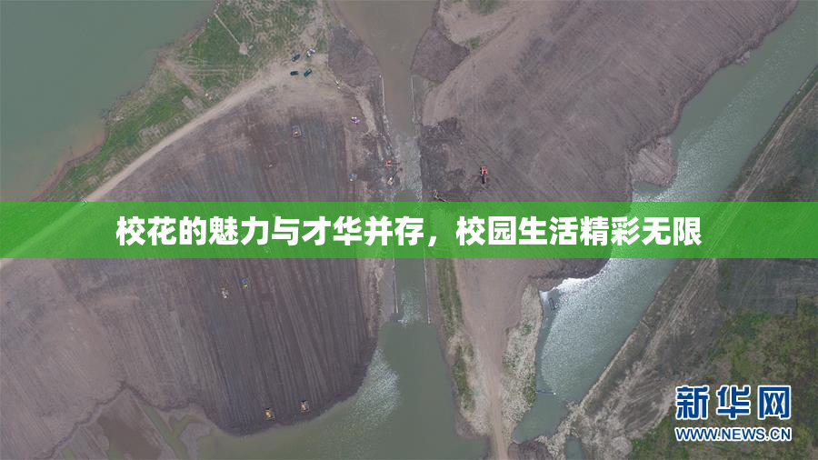 校花的魅力与才华并存，校园生活精彩无限
