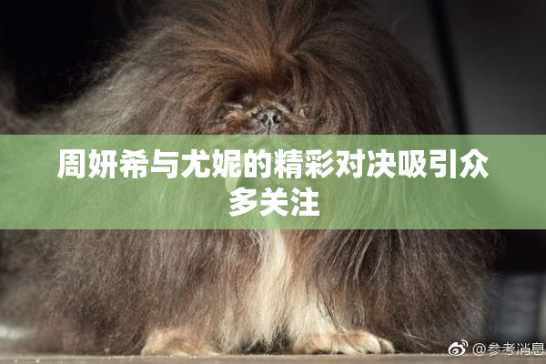 周妍希与尤妮的精彩对决吸引众多关注