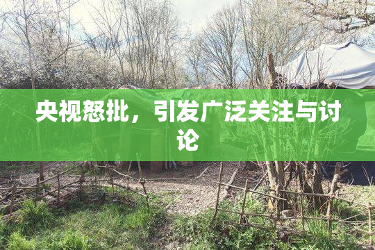 央视怒批，引发广泛关注与讨论