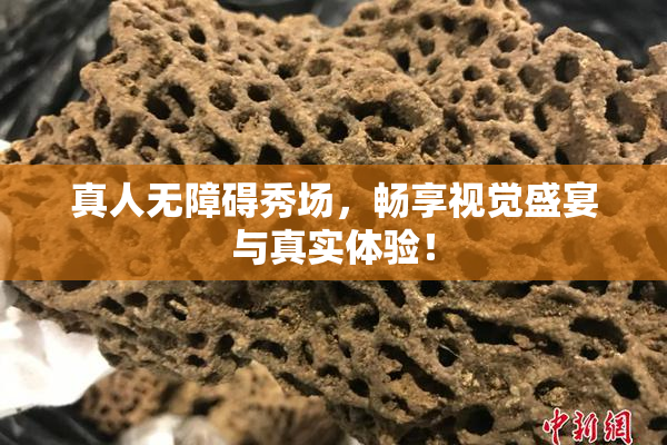 真人无障碍秀场，畅享视觉盛宴与真实体验！