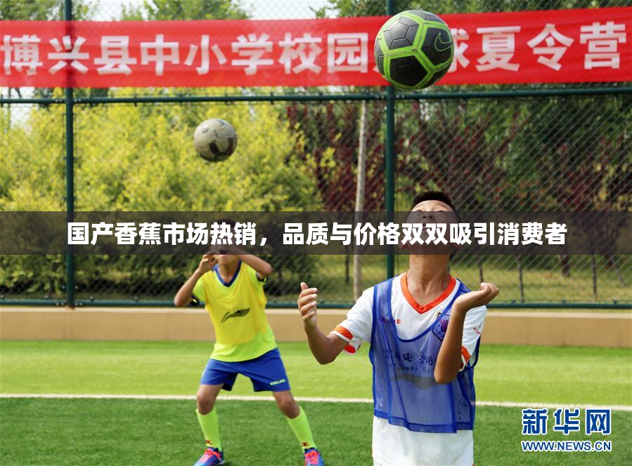 国产香蕉市场热销，品质与价格双双吸引消费者