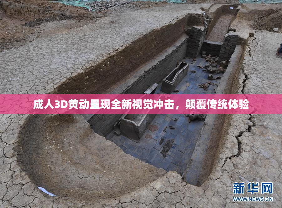成人3D黄动呈现全新视觉冲击，颠覆传统体验