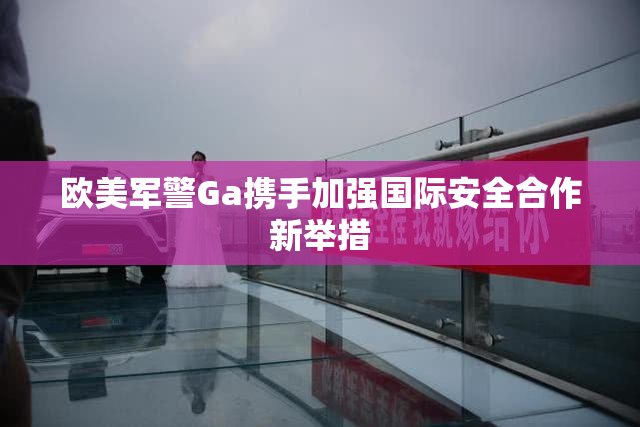 欧美军警Ga携手加强国际安全合作新举措