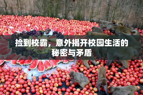 捡到校霸，意外揭开校园生活的秘密与矛盾