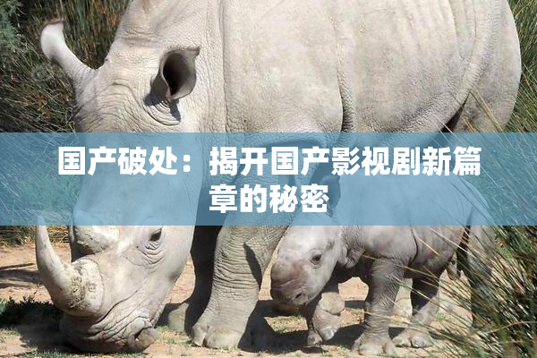 国产破处：揭开国产影视剧新篇章的秘密